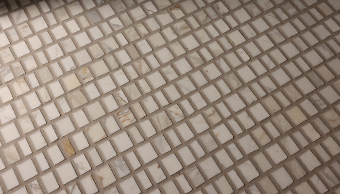 winter white – exploring color