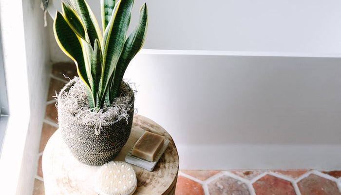 boho bathroom tile ideas for a curated, collected look