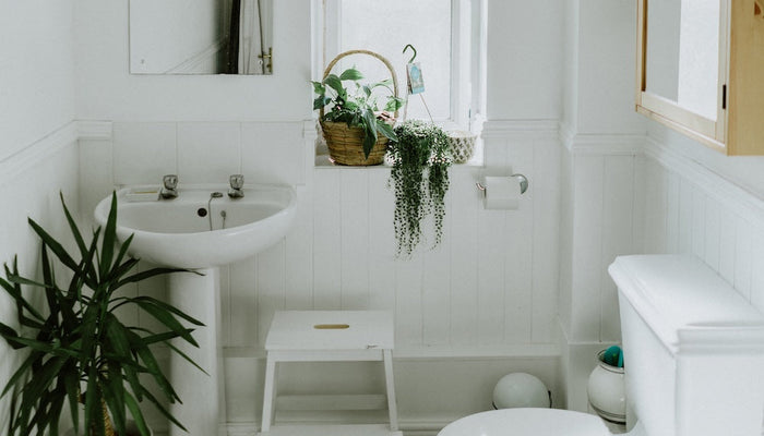 black and white small bathroom ideas: getting the contrast right