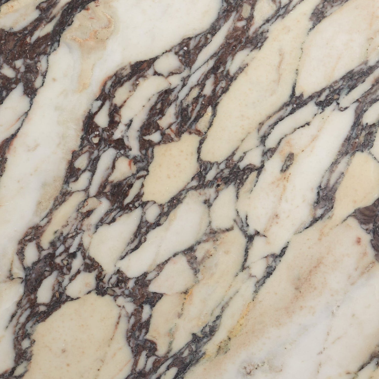 shop lapidary grandioso