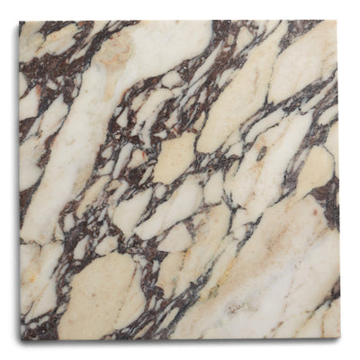 calacatta viola square 12x12
