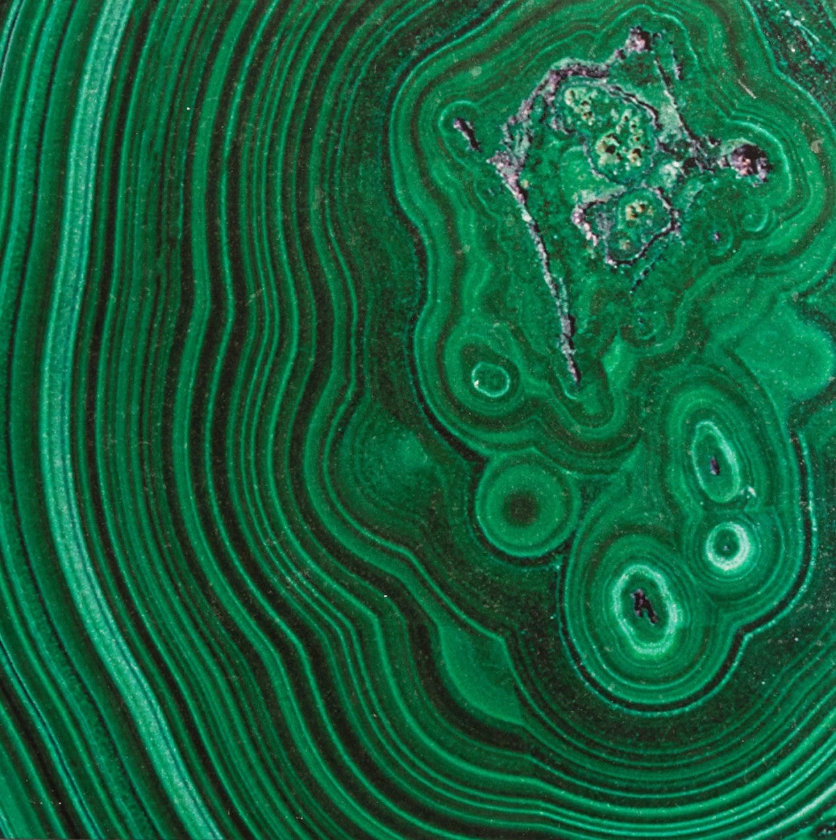 a close up of a piece of green tile with an ornate design.