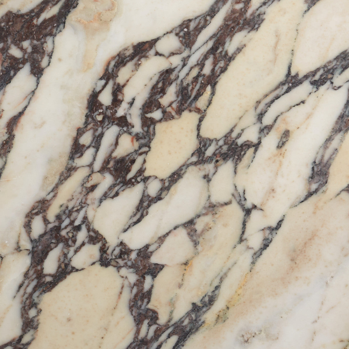 Close-up of a polished marble surface with beige background and irregular dark brown and black veining patterns running diagonally across the stone.