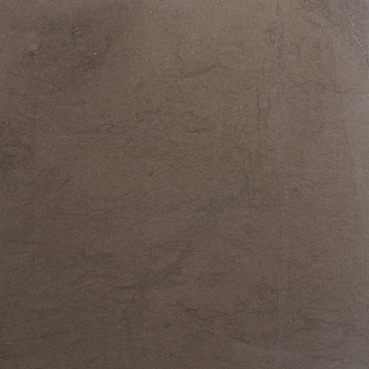 cle tile stone lapidary 12x12 single cashmere grey
