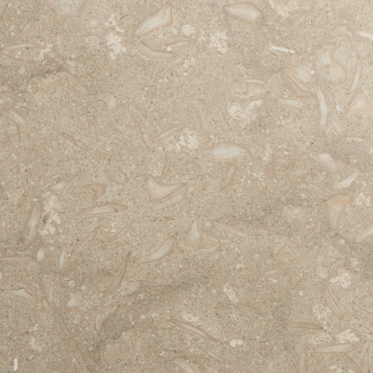 grand place cle tile stone limestone 12x12 single arbor