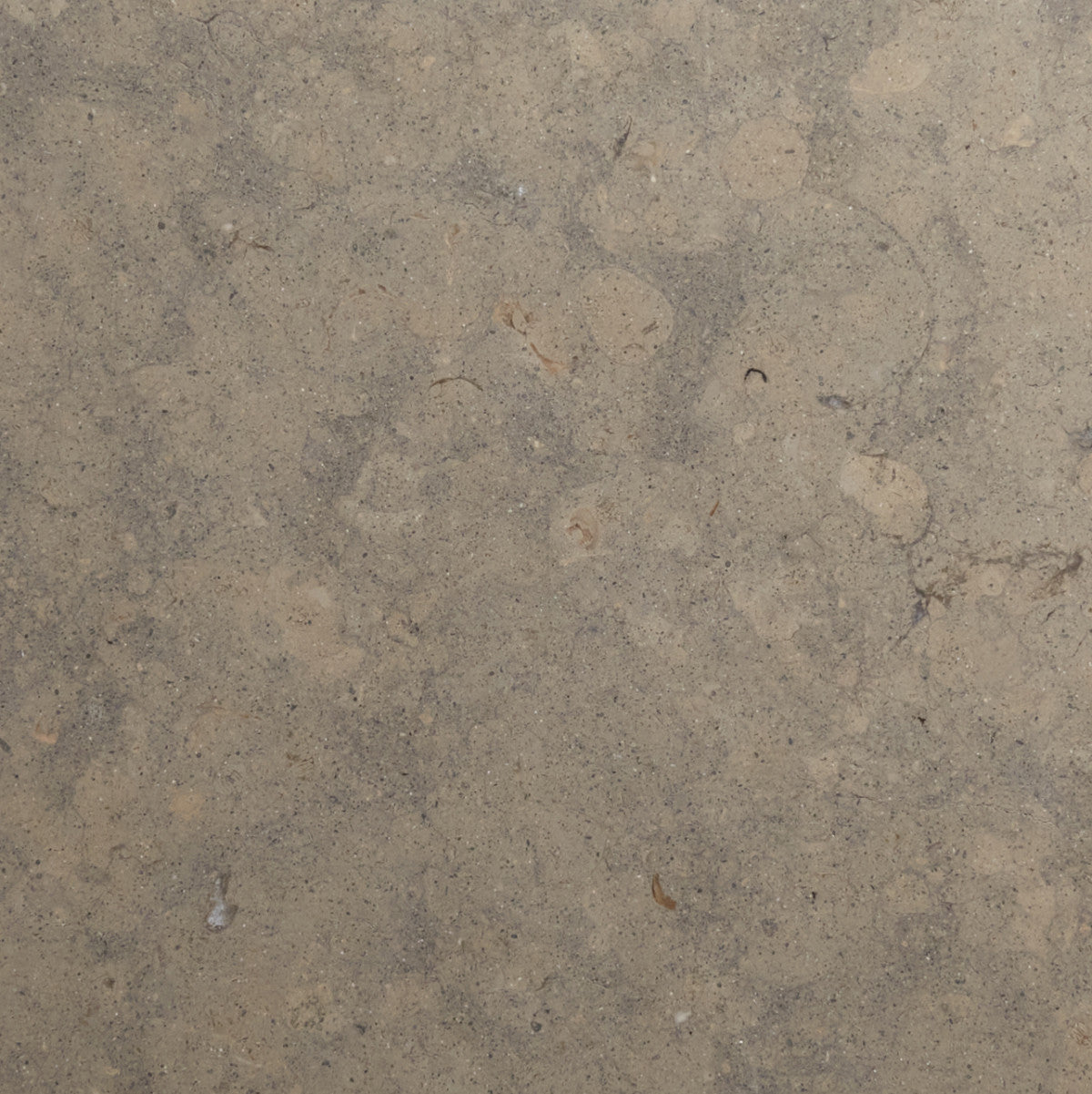 grand place cle tile stone limestone 12x12 single barrow