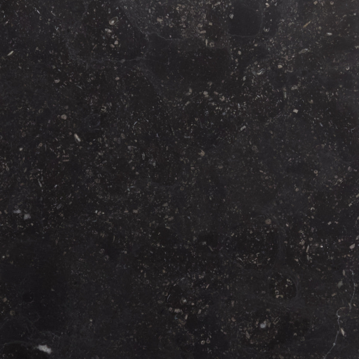 grand place cle tile stone limestone 12x12 single cartwright