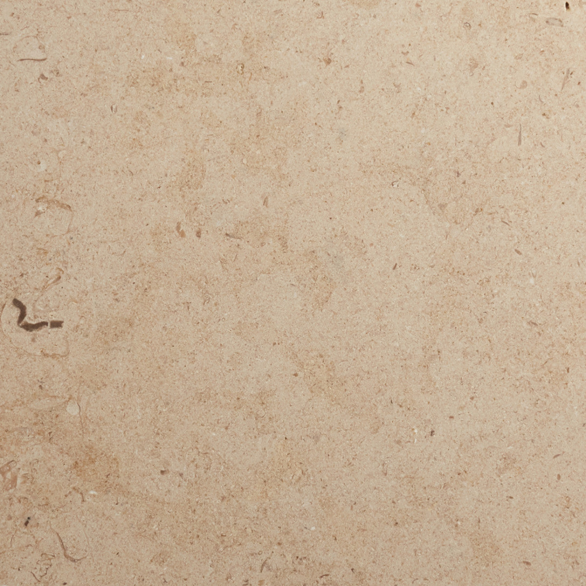 grand place cle tile stone limestone 12x12 single tanner