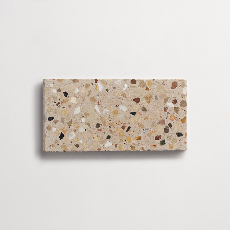 cle-tile-stone-terrazzo-shell-rectangle-3x6-single-900x900.jpg