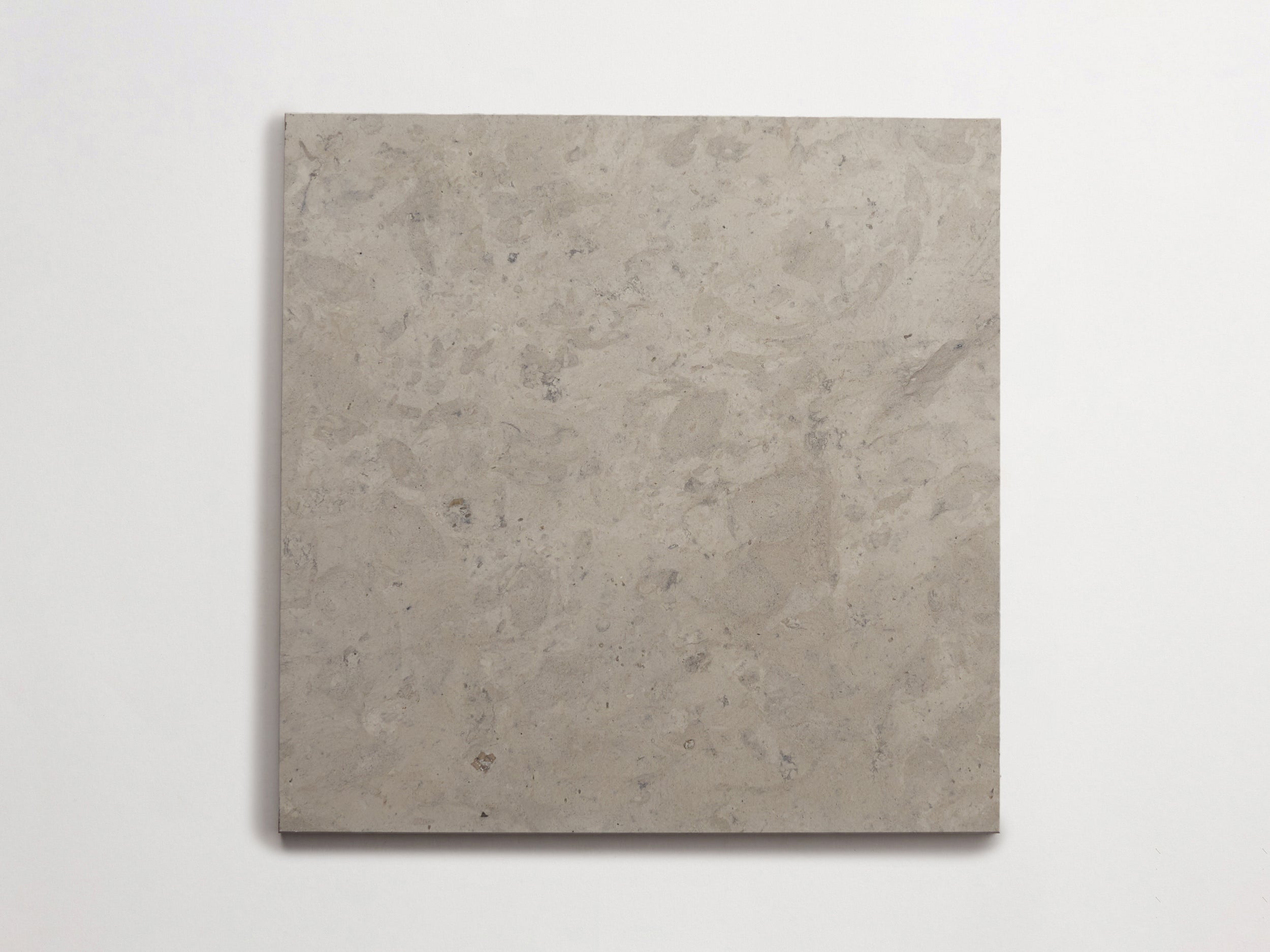 LP0119-cle-tile-stone-lapidary-12x12-single-alpaca-grey-3000x2250-300dpi.jpg