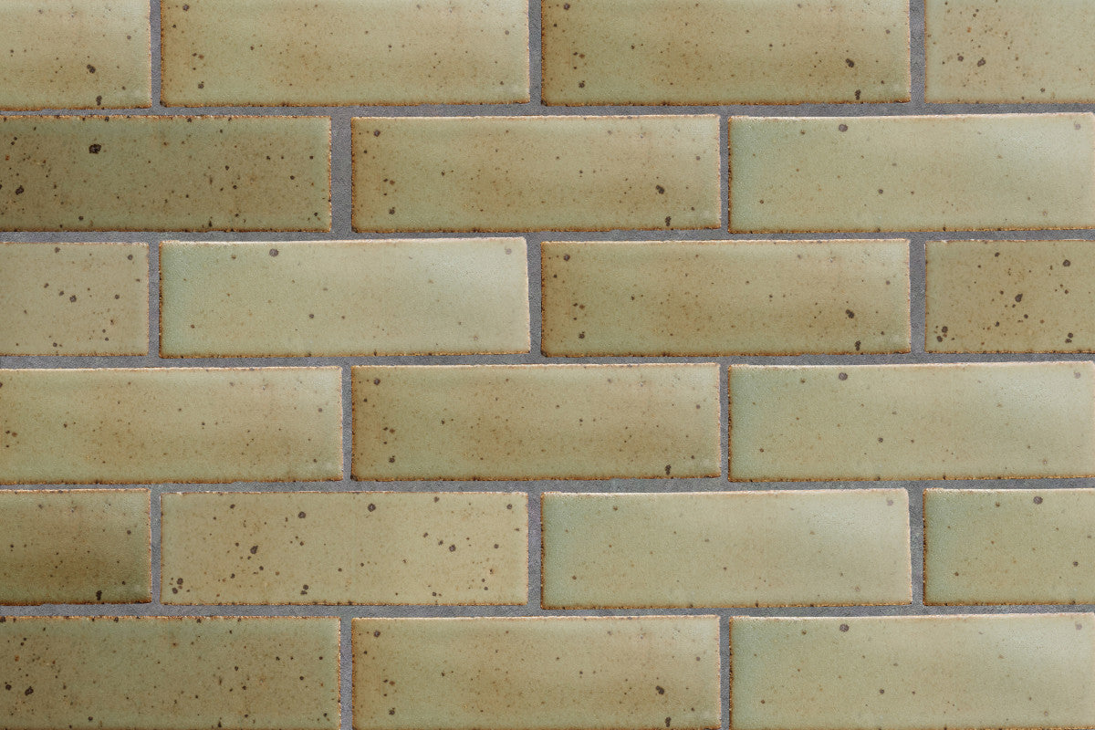 Guild new california thin brick salvia.