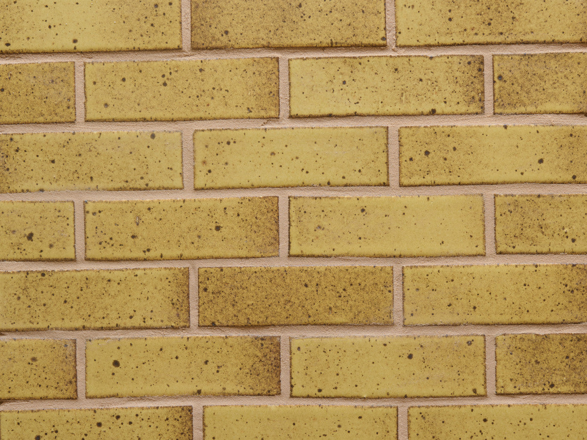 clé guild: new california | cigar | matte | cardoon ~ 2½"x8"x½"