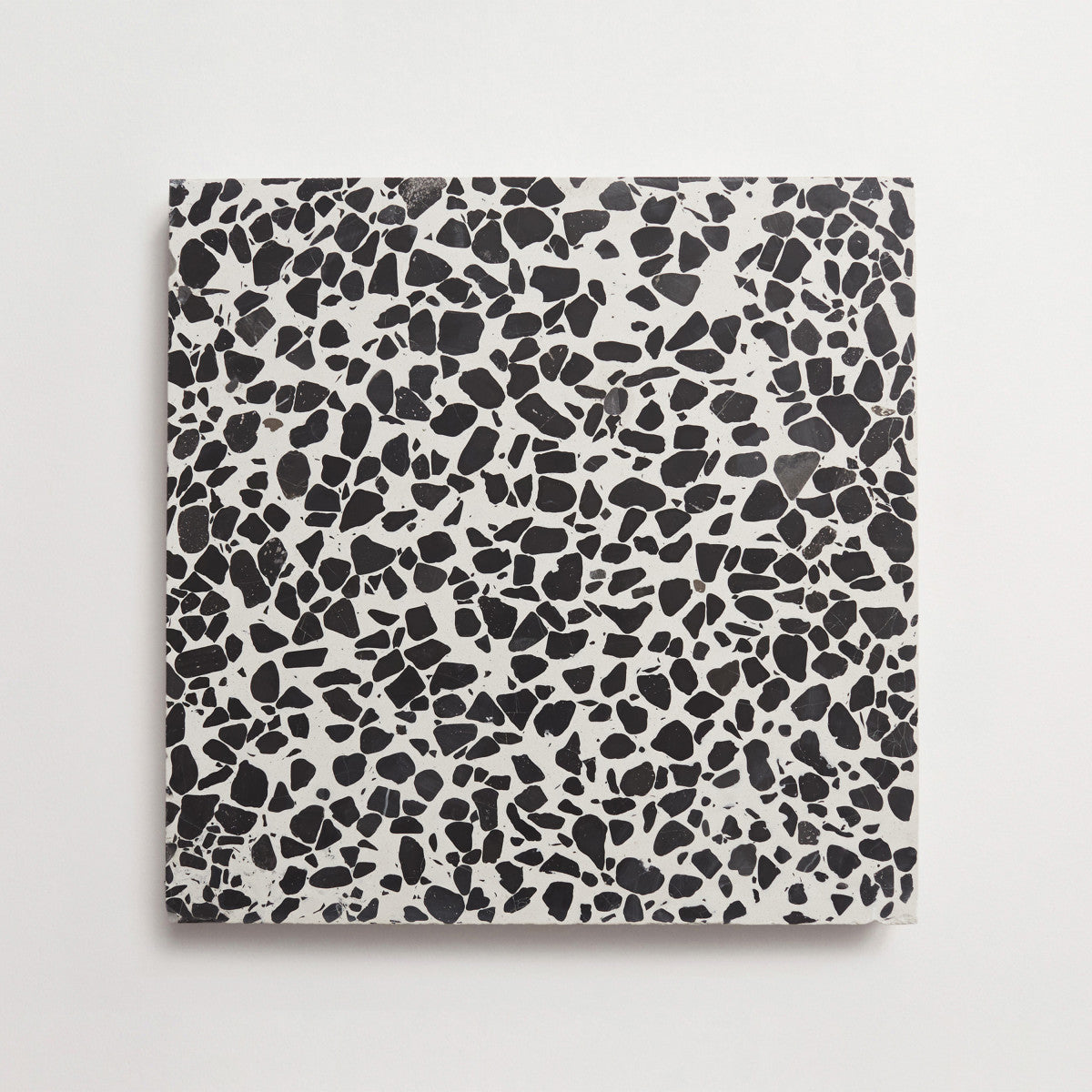 Terrazzo tile outdoor white large field tile torrone i