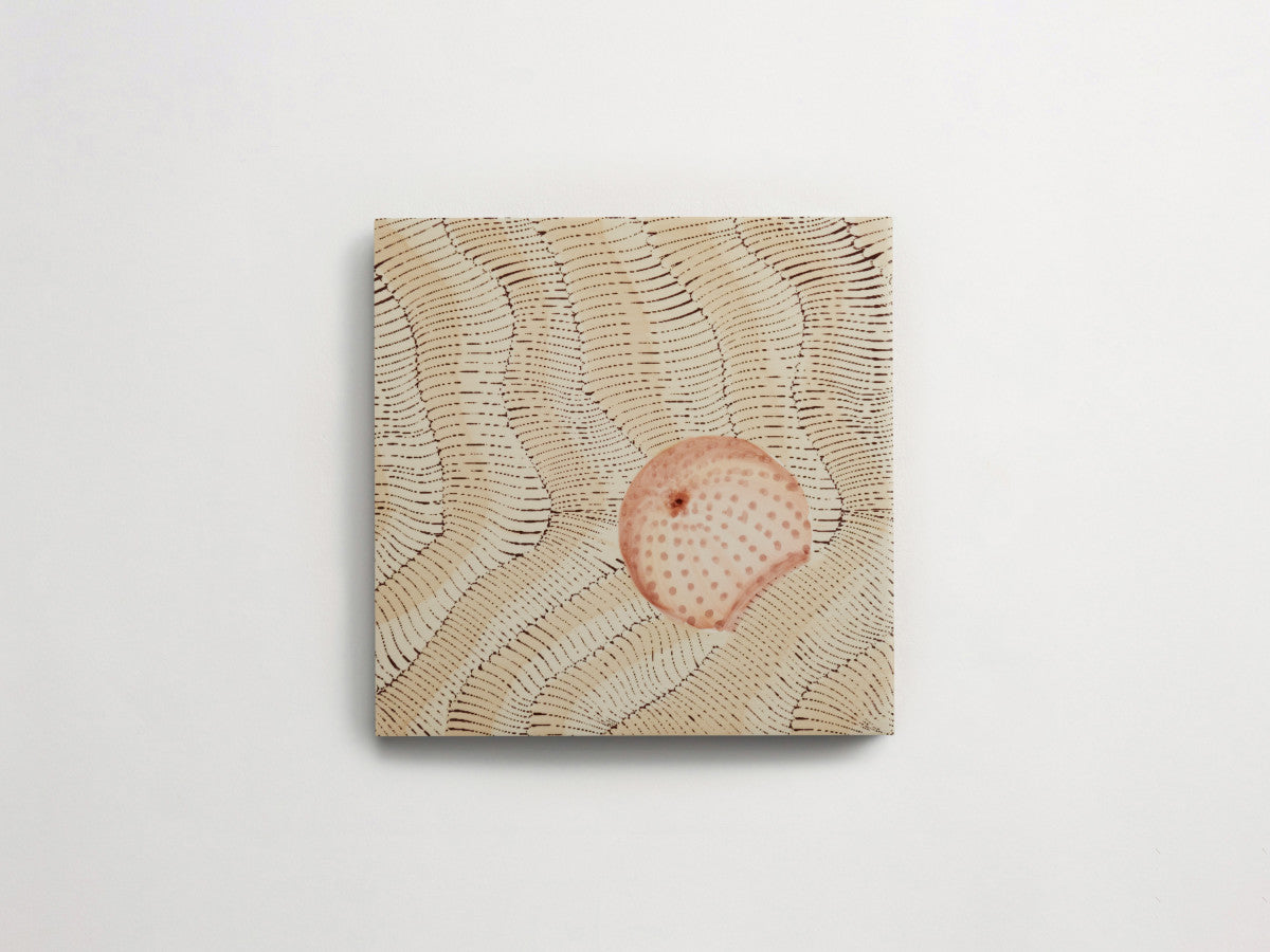 Italian designer ceramic tile Natural Seashell Motif 2.