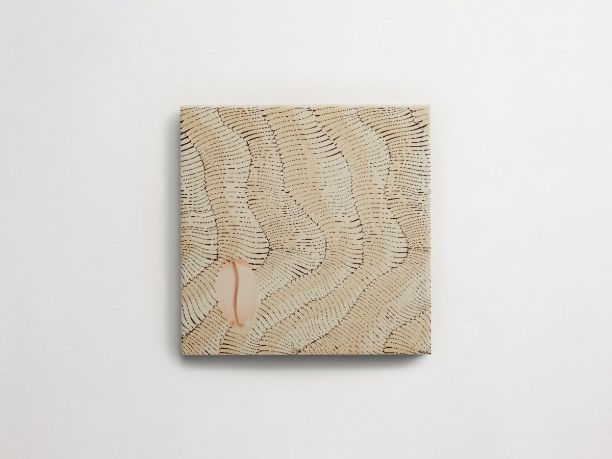 Italian designer ceramic tile Natural Seashell Motif 3.