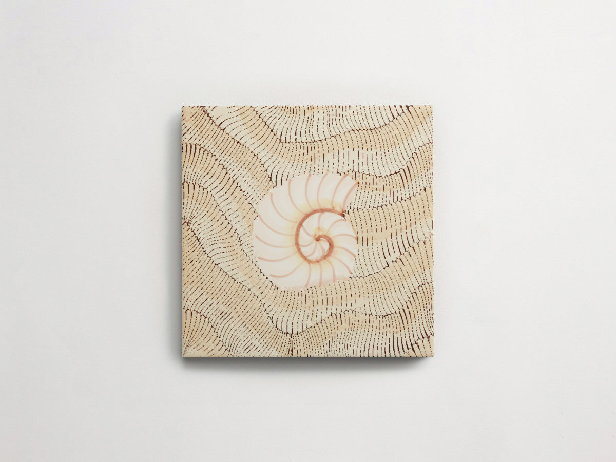 Italian designer ceramic tile Natural Seashell Motif 4.