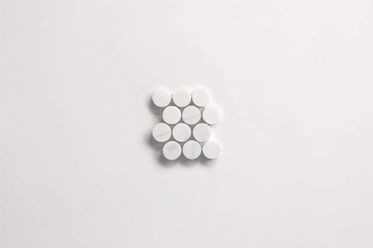 Tile bianco dolomite white stone penny round sheet.