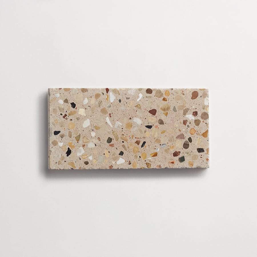 forage terrazzo | grand stout | honed | shell | sample ~ 3"x6"x½"