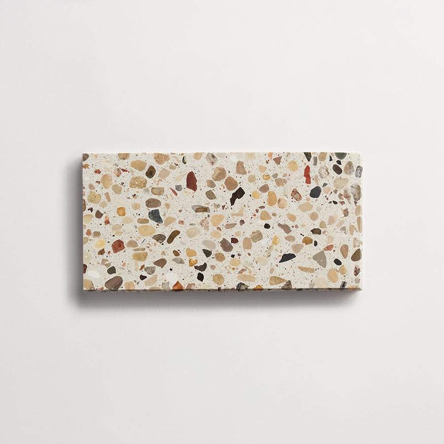 forage terrazzo | grand stout | honed | white | sample ~ 3"x6"x½"