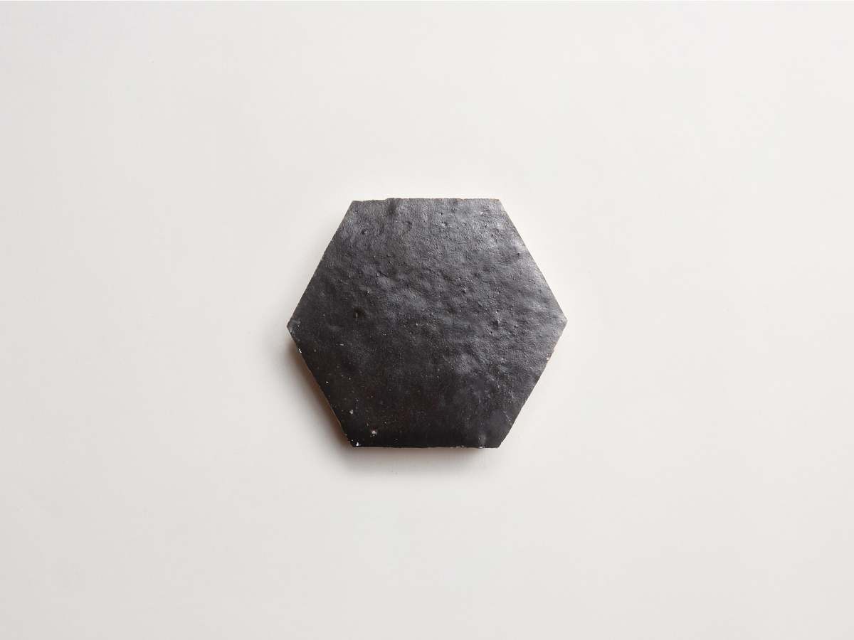 Zellige tile matte black charred cedar hexagon.