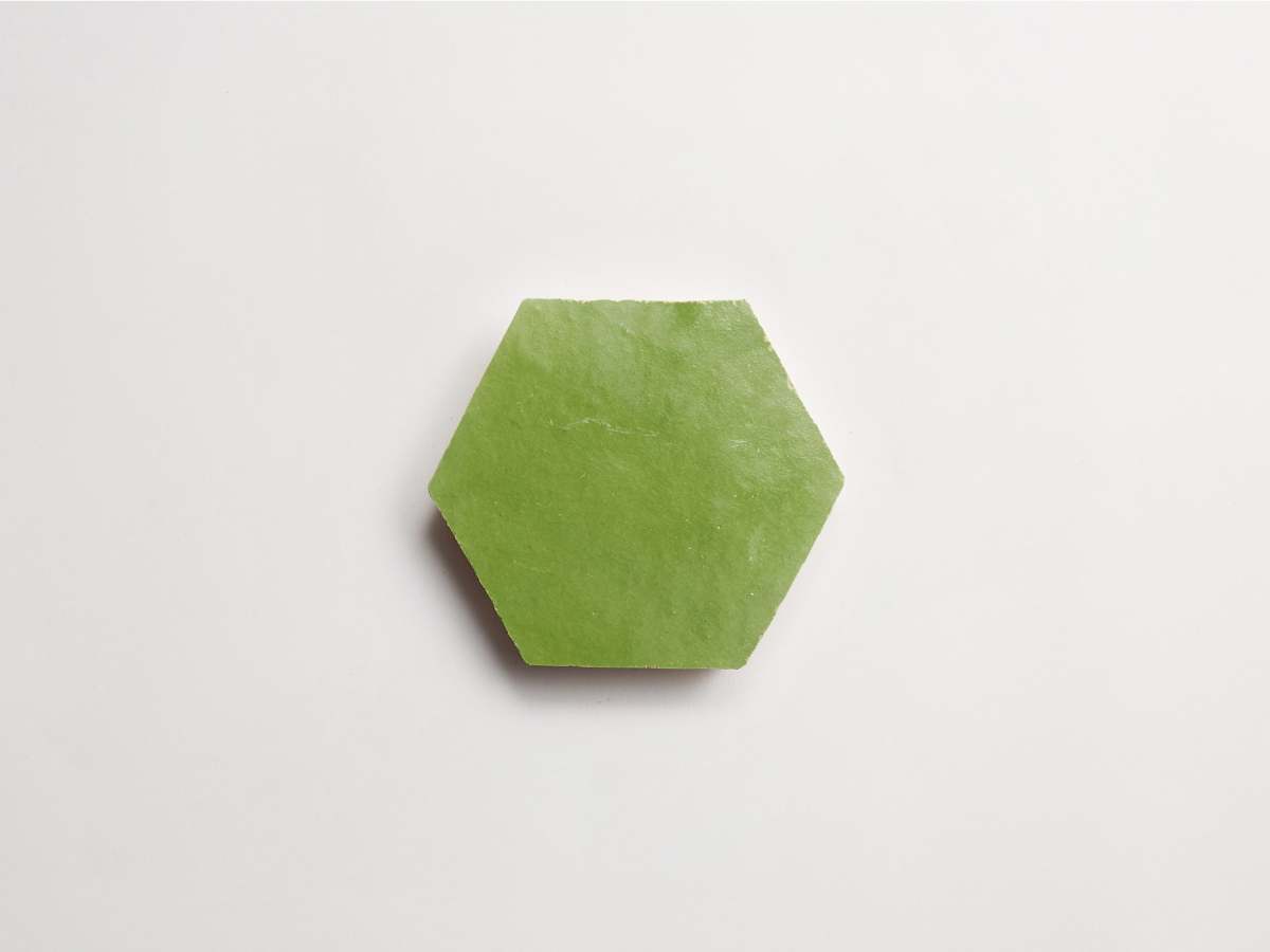 Zellige tile moroccan fallen citrus green hexagon.