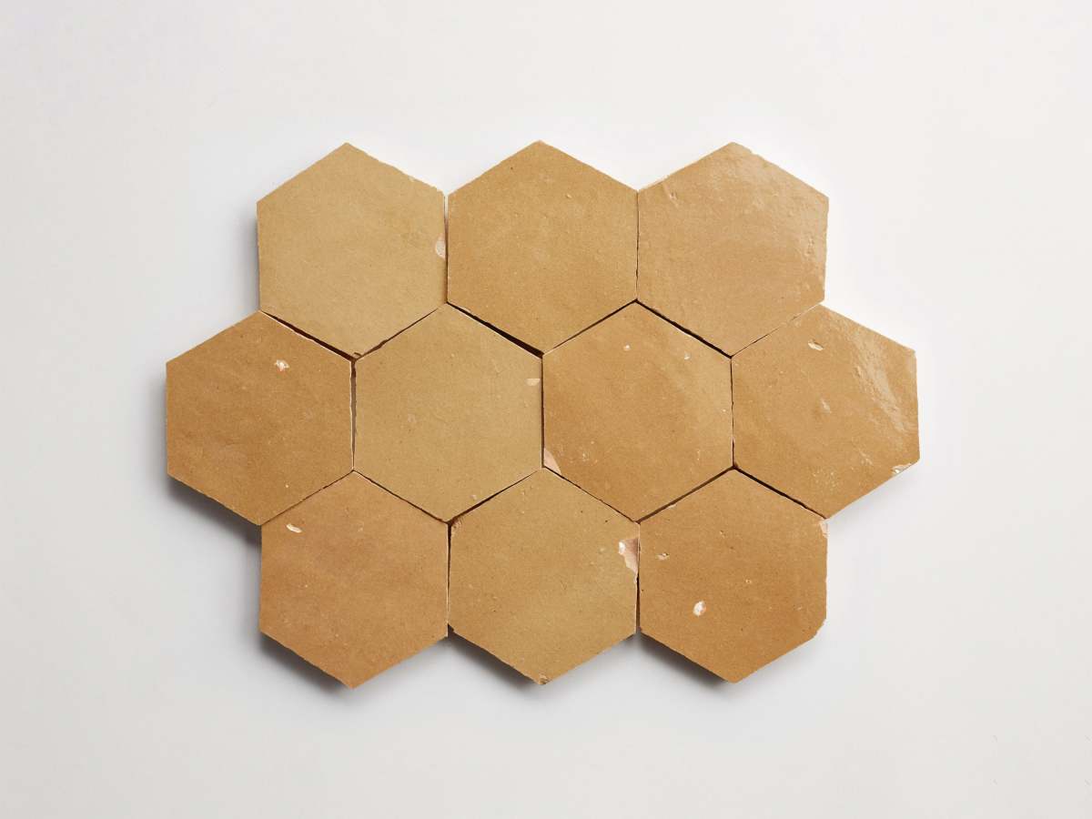 Zellige tile terracotta riverbed hexagon.
