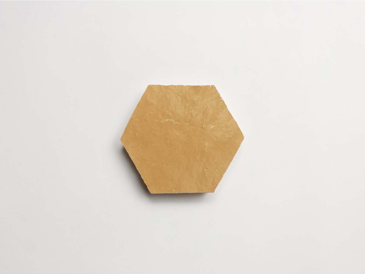 Zellige tile terracotta riverbed hexagon.