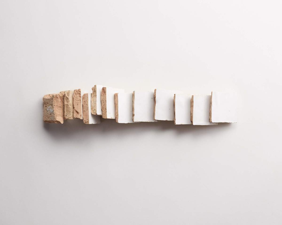 A row of rectangular, unevenly cut white and beige pieces, possibly soap or cheese, arranged in a line on a plain white background.