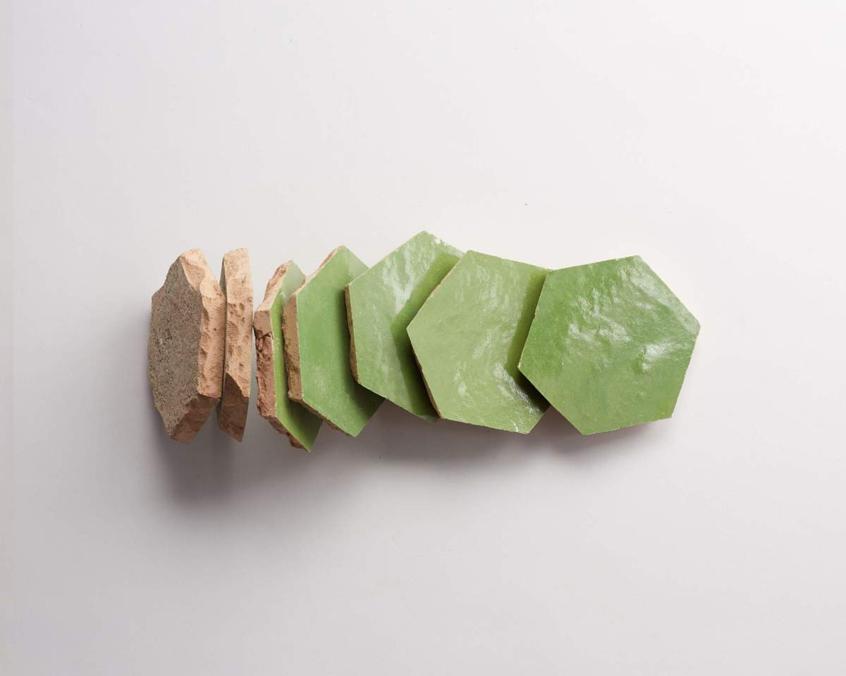 Zellige tile moroccan fallen citrus green hexagon.