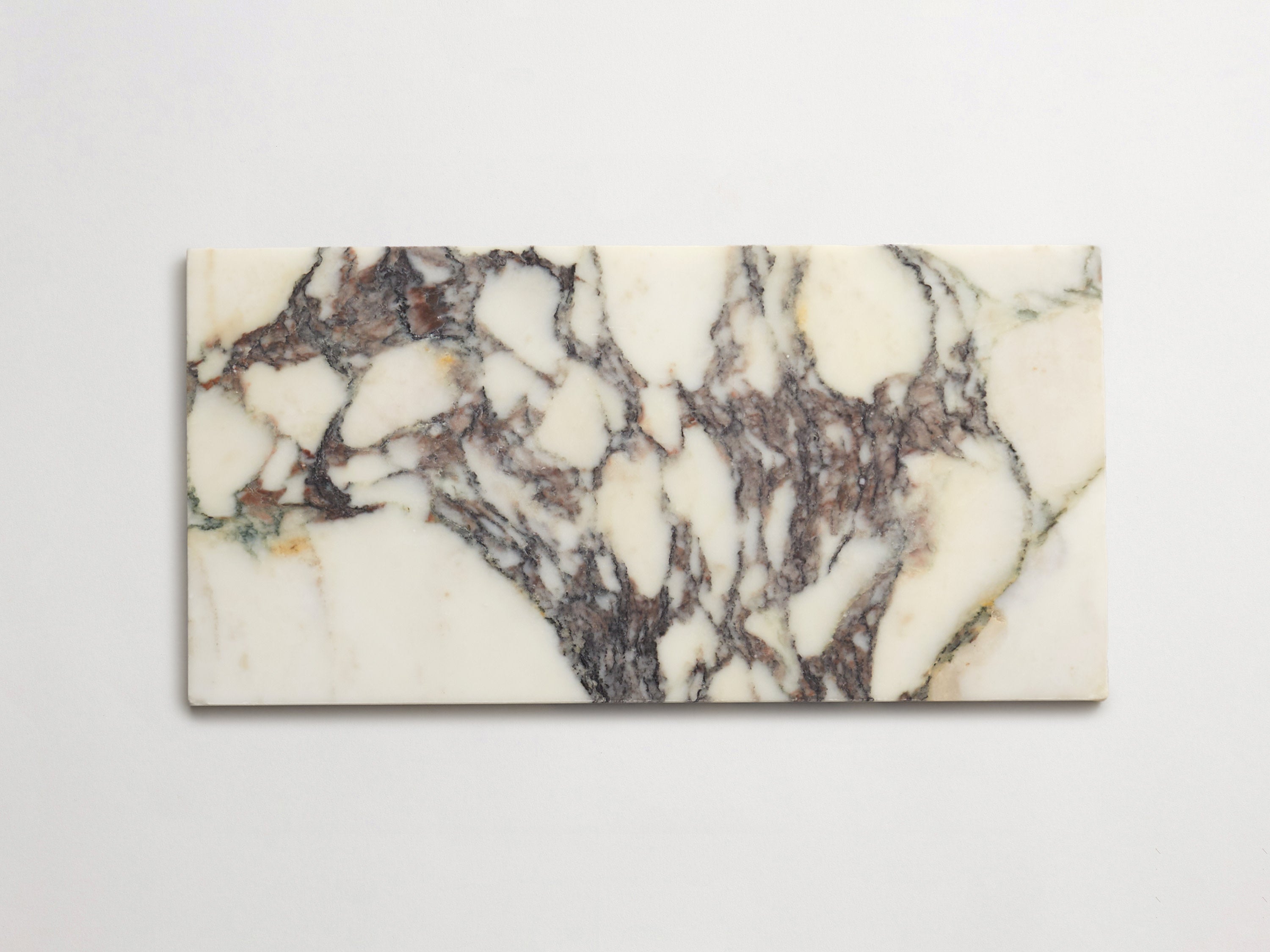 clé calacatta viola | oversized subway 6x12