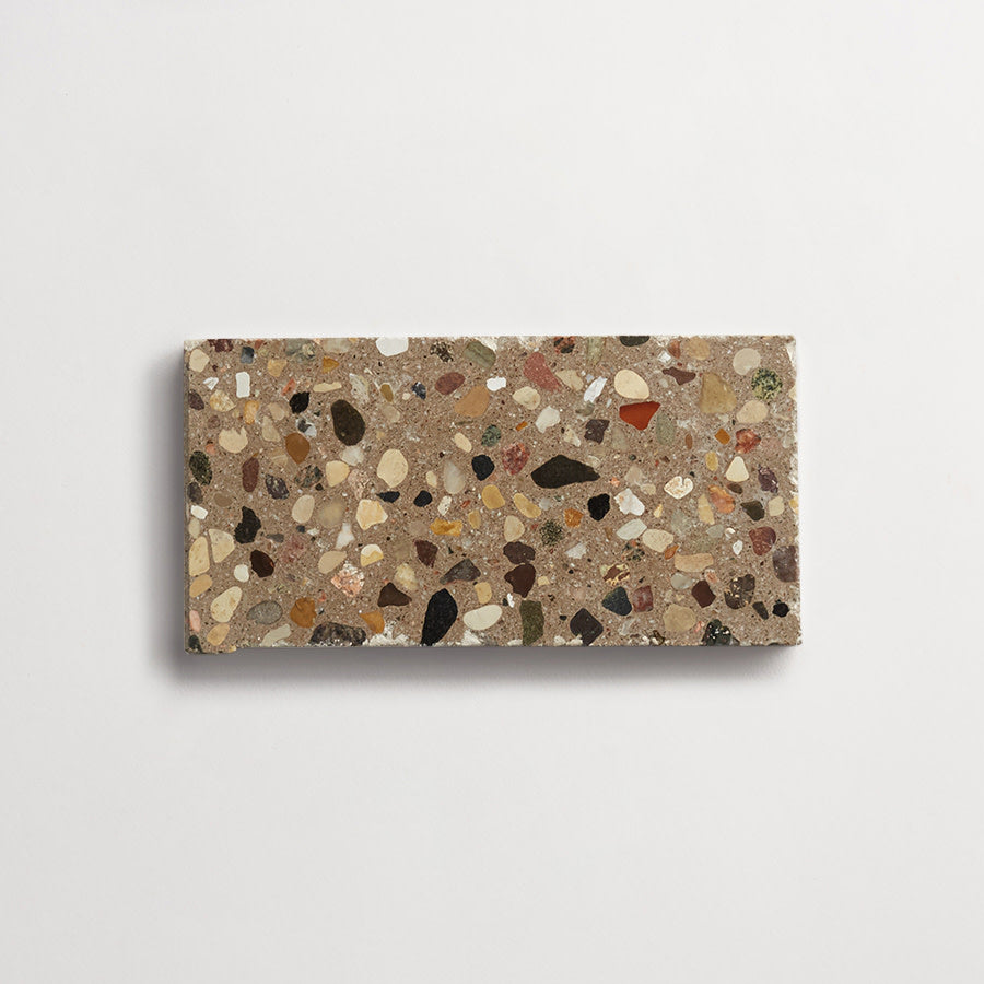 cle-tile-stone-terrazzo-mouse-rectangle-3x6-single-900x900.jpg